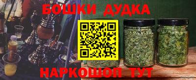 ПСИЛОЦИБИНОВЫЕ ГРИБЫ Дубна