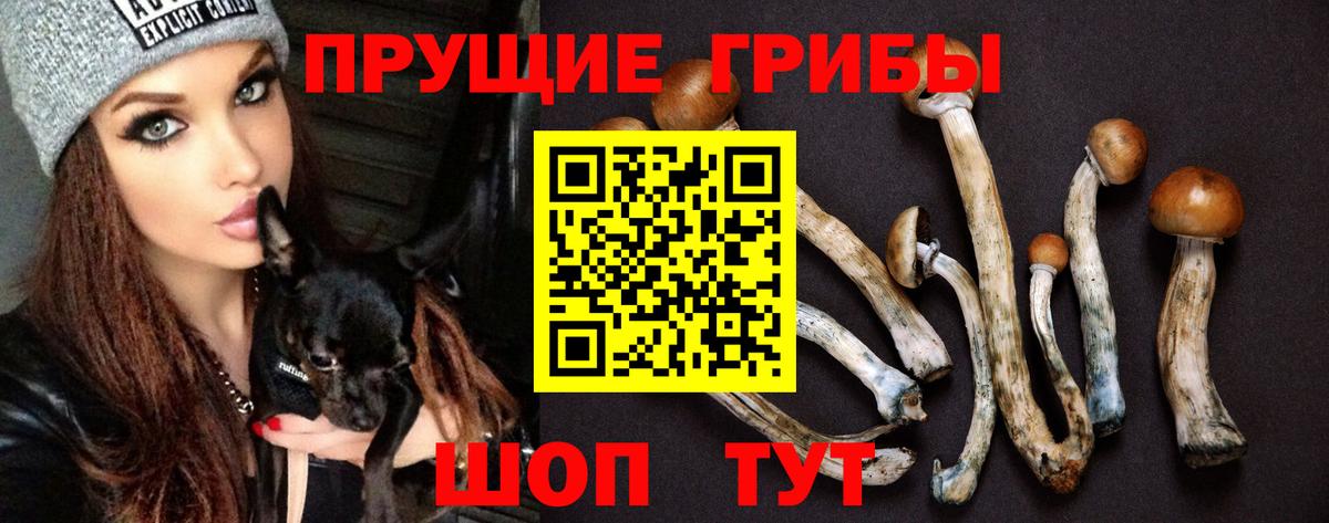 Псилоцибиновые грибы GOLDEN TEACHER Армавир