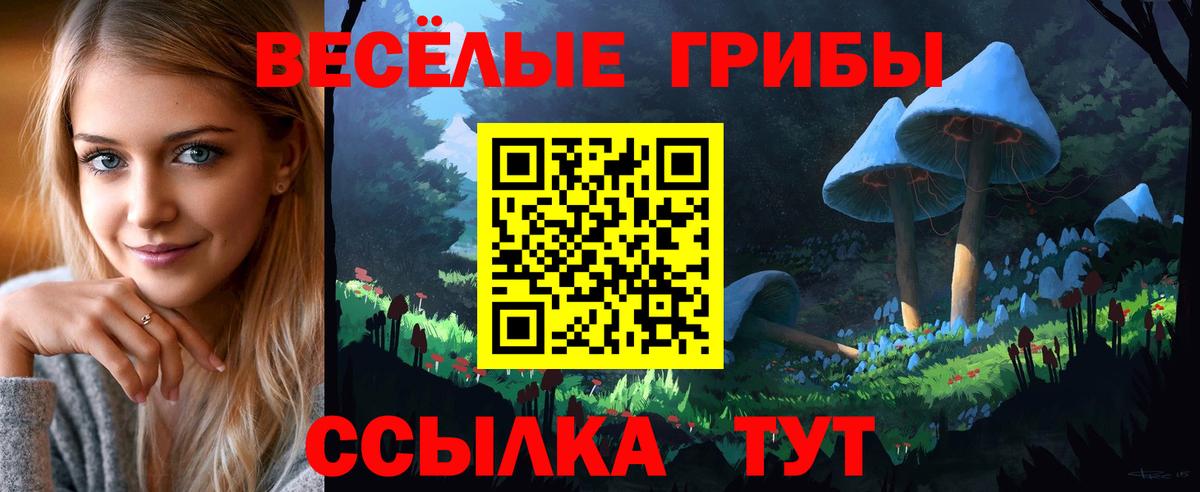 Армавир  Галлюциногенные грибы Cubensis  Вход с VPN  Псилоцибиновые грибы ЛСД 